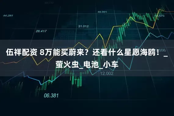 伍祥配资 8万能买蔚来？还看什么星愿海鸥！_萤火虫_电池_小车